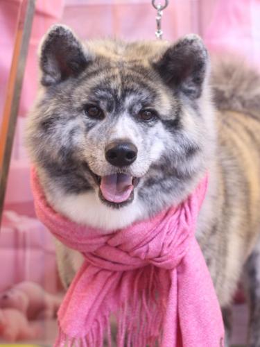 20241203むぎくん